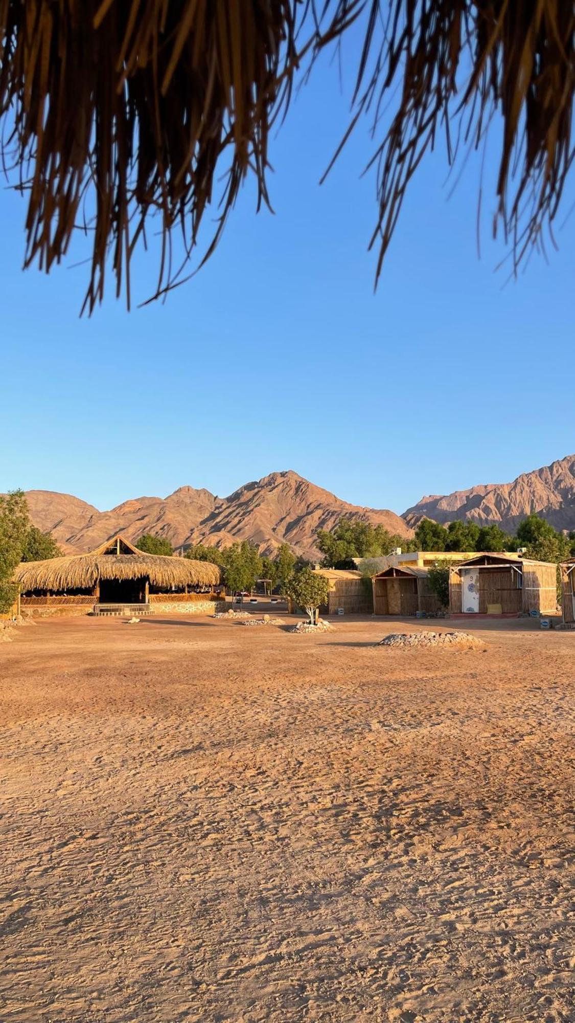 ホテル Alwaha Camp Nuweiba` エクステリア 写真