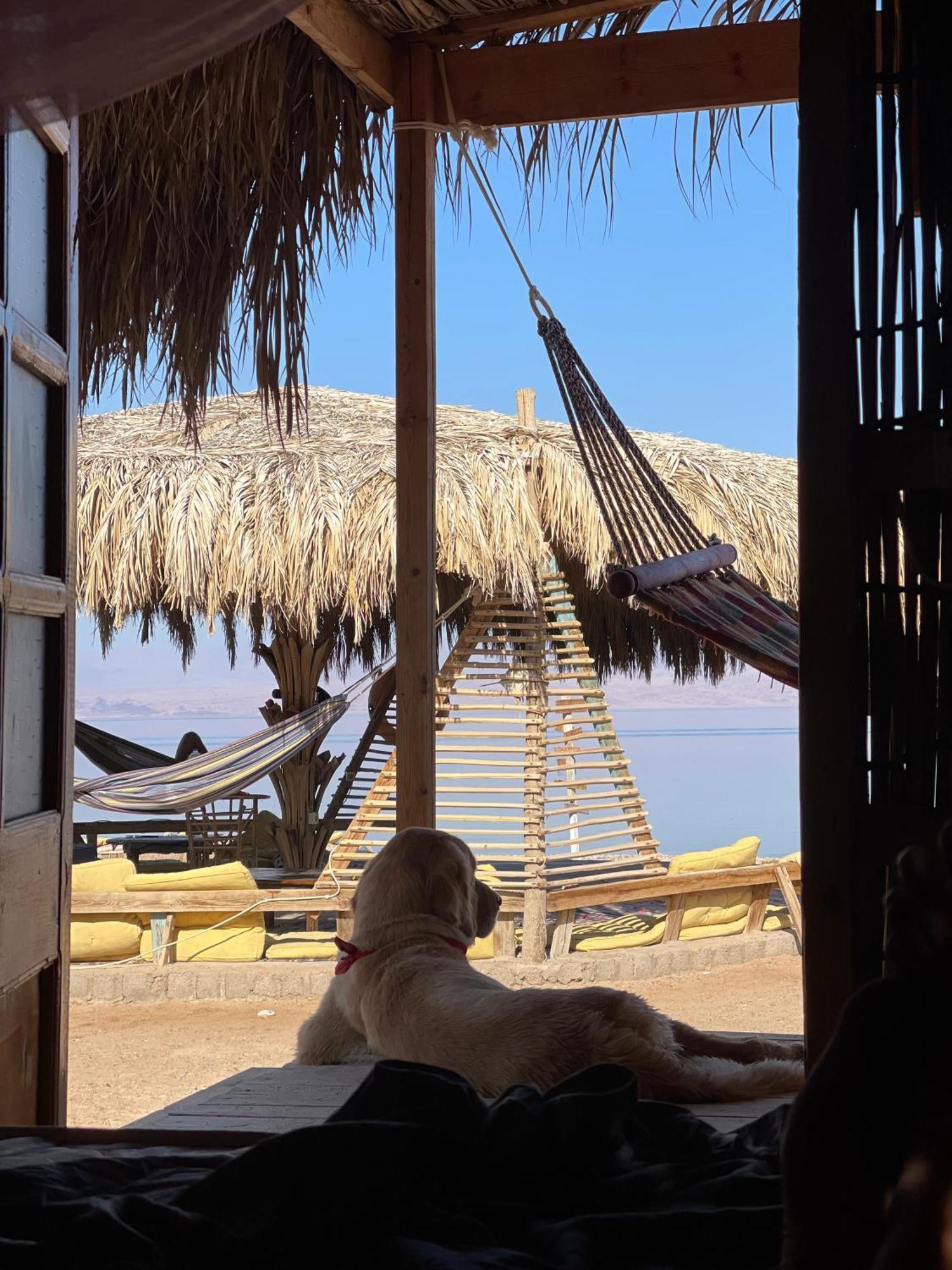 ホテル Alwaha Camp Nuweiba` エクステリア 写真