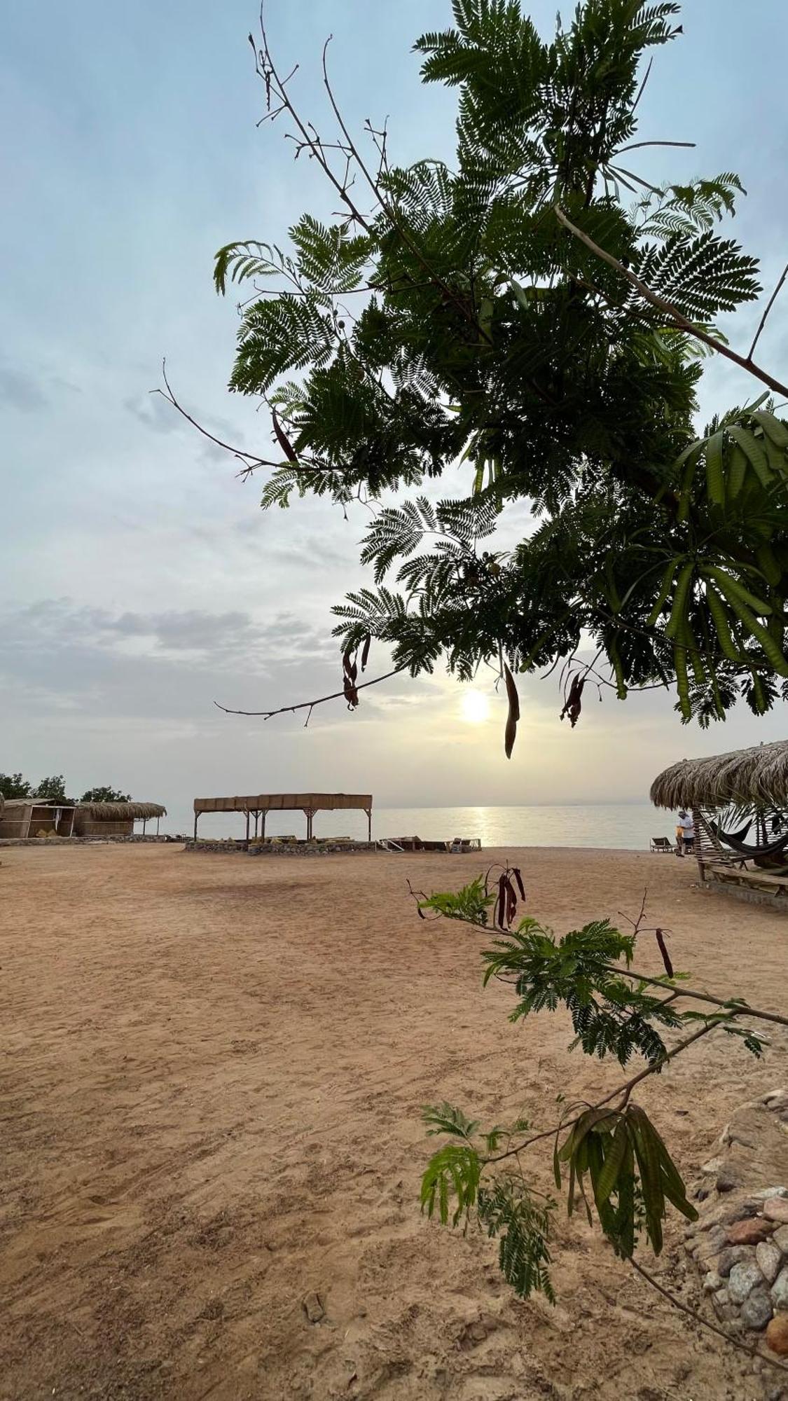 ホテル Alwaha Camp Nuweiba` エクステリア 写真