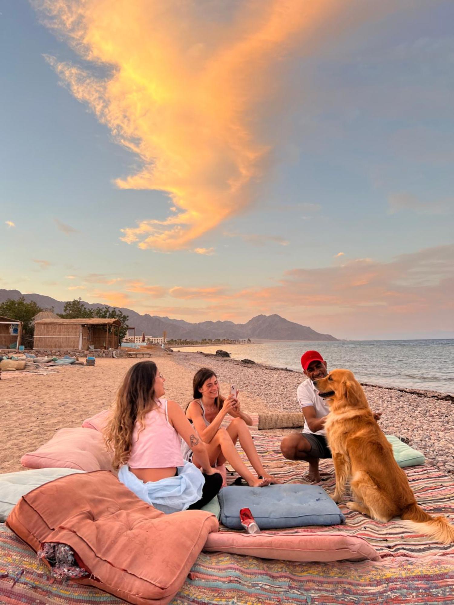 ホテル Alwaha Camp Nuweiba` エクステリア 写真