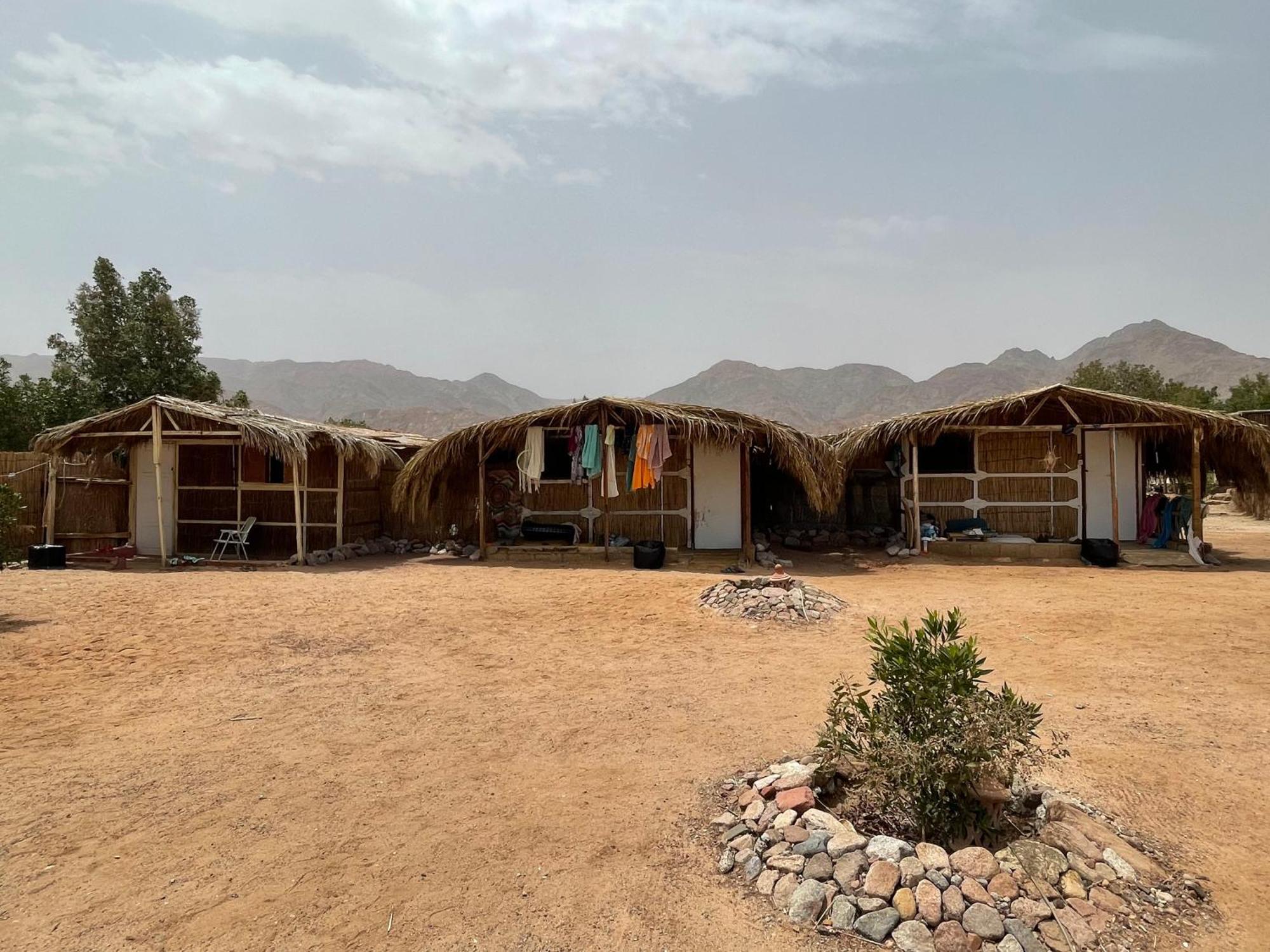 ホテル Alwaha Camp Nuweiba` エクステリア 写真