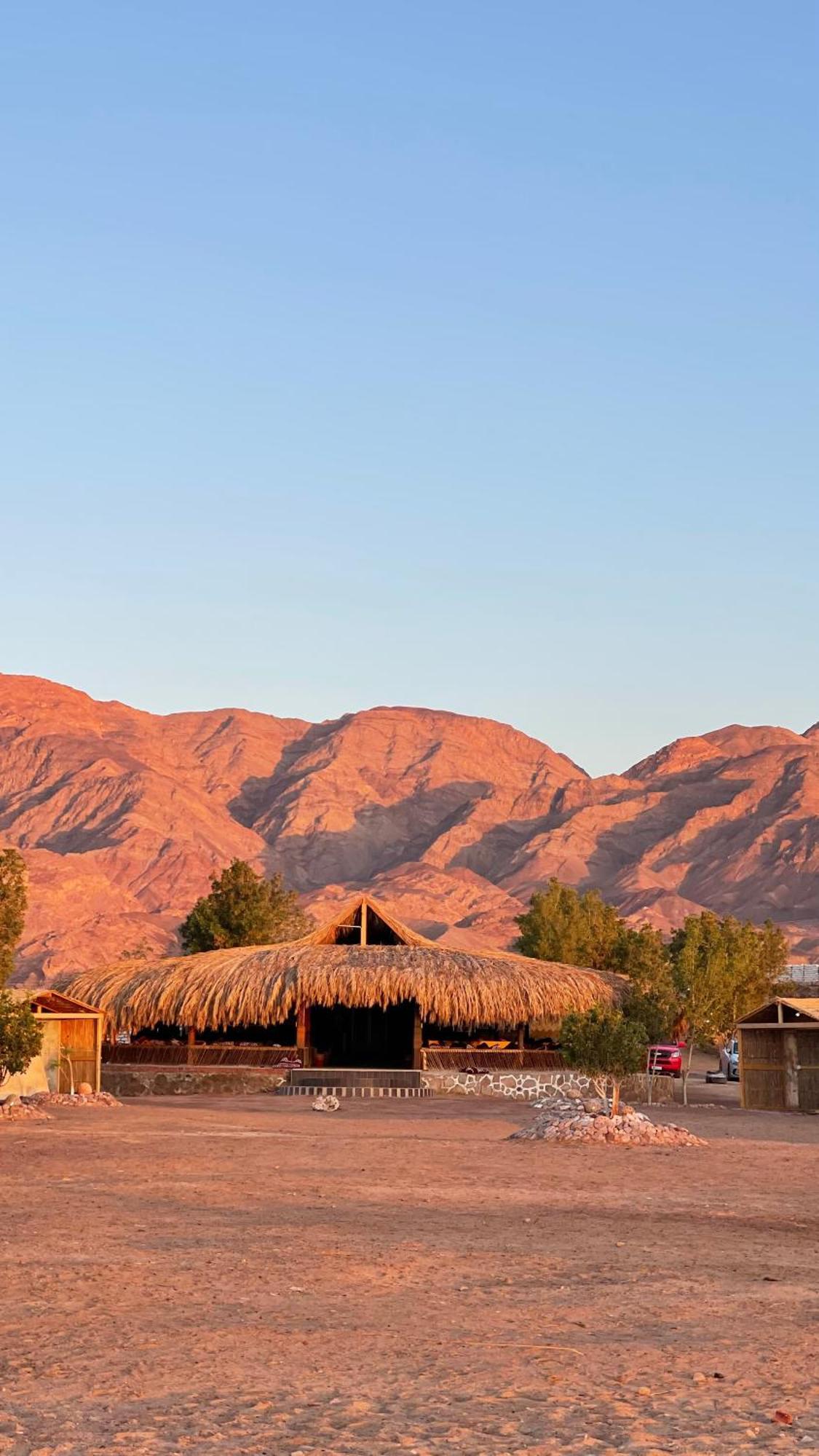 ホテル Alwaha Camp Nuweiba` エクステリア 写真