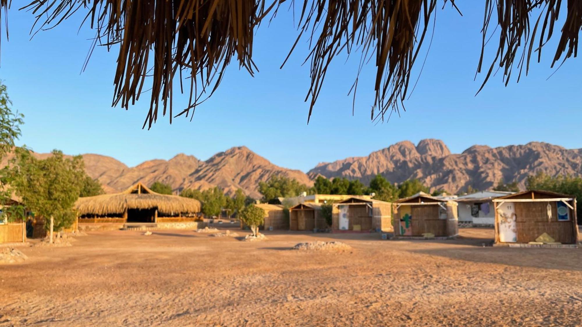 ホテル Alwaha Camp Nuweiba` エクステリア 写真